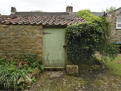Picture 17